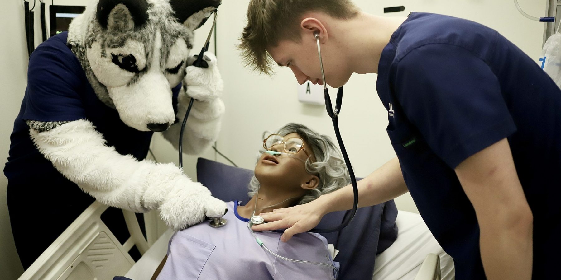 Male nursing student and mascot Jonathan the Husky listening to the heartbeat of a manikin